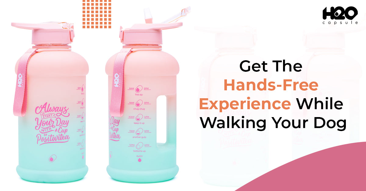 Get The Hands-Free Experience While Walking Your Dog