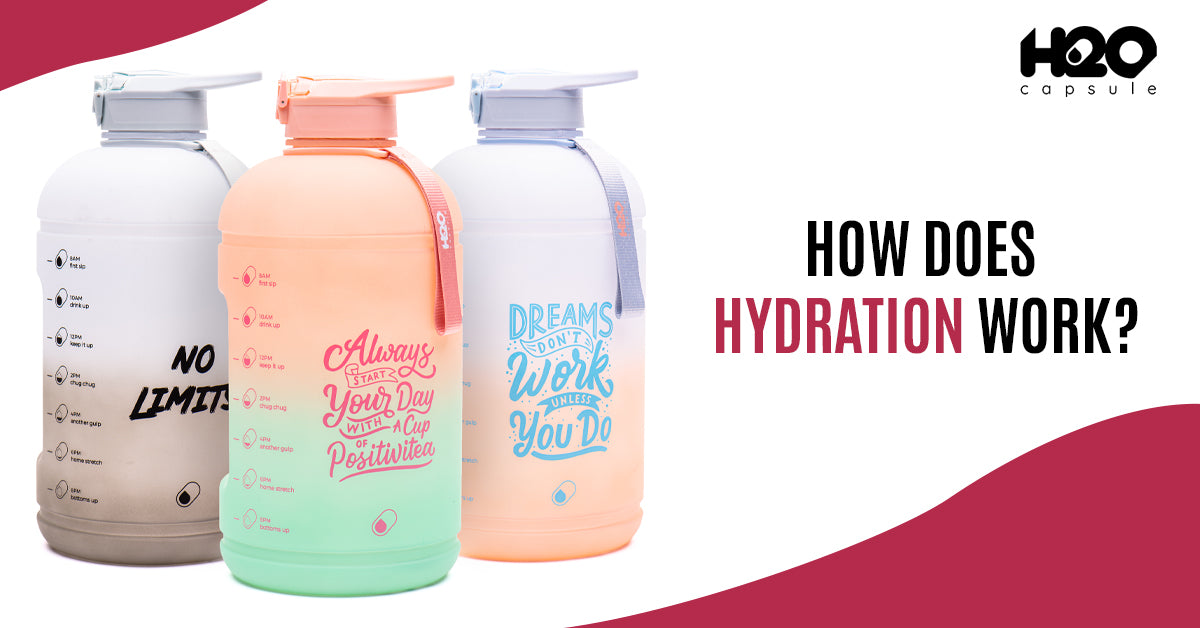 How Does Hydration Work?
