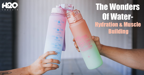 The Wonders Of Water- Hydration & Muscle Building